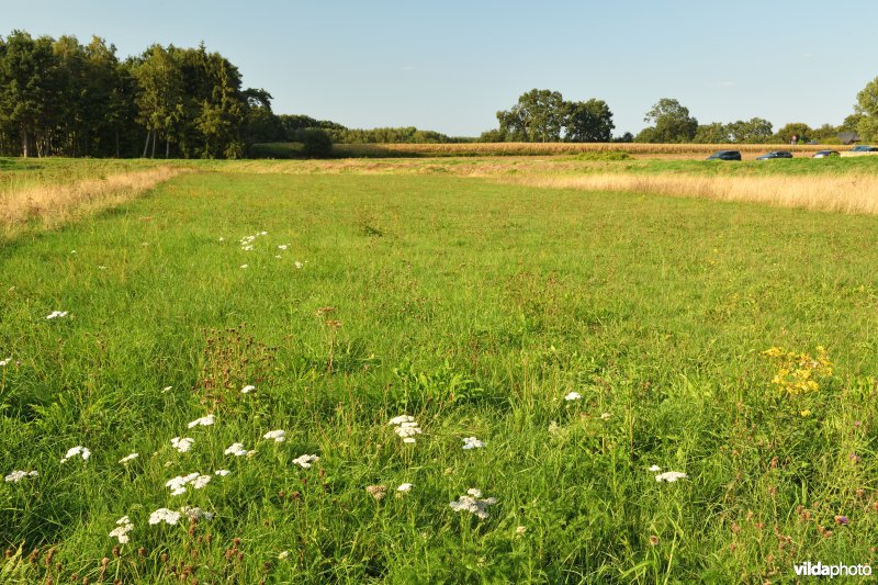 Vallei van de Grote Nete en de Hagelandse Heibeek