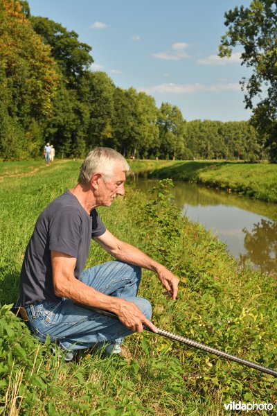 Hengelaar aan de Grote Nete