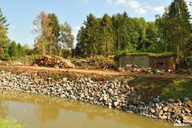 Natuurherstelwerken aan de Grote Nete