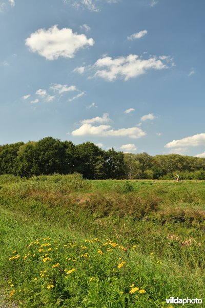 Demerdijk - Zuid