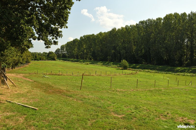 Demervallei: Achter Schoonhoven