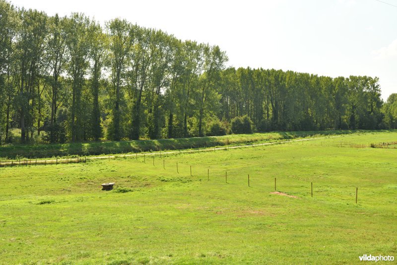 Demervallei: Achter Schoonhoven