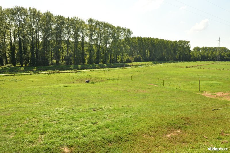 Demervallei: Achter Schoonhoven (R)