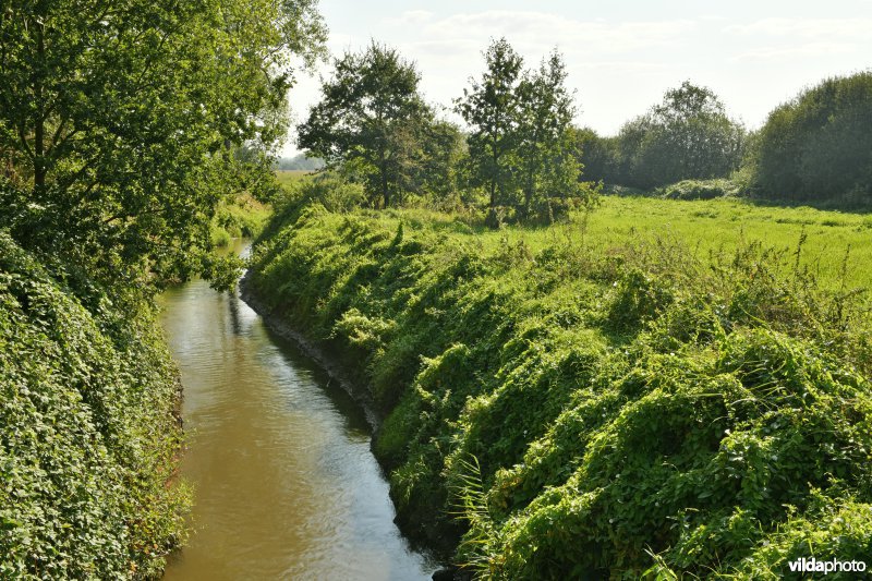 Demervallei: Kloosterbeemden