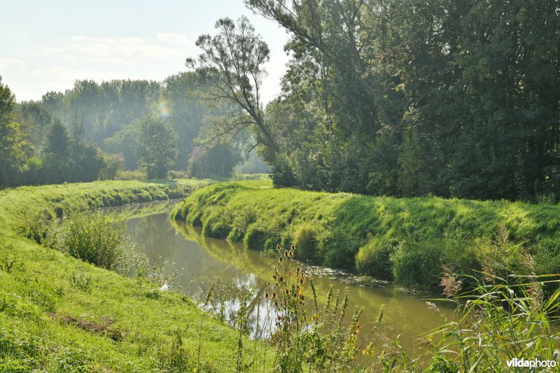 Vallei van de Demer