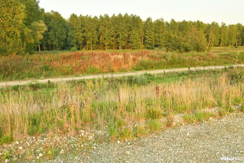 Vlassenbroekse polder