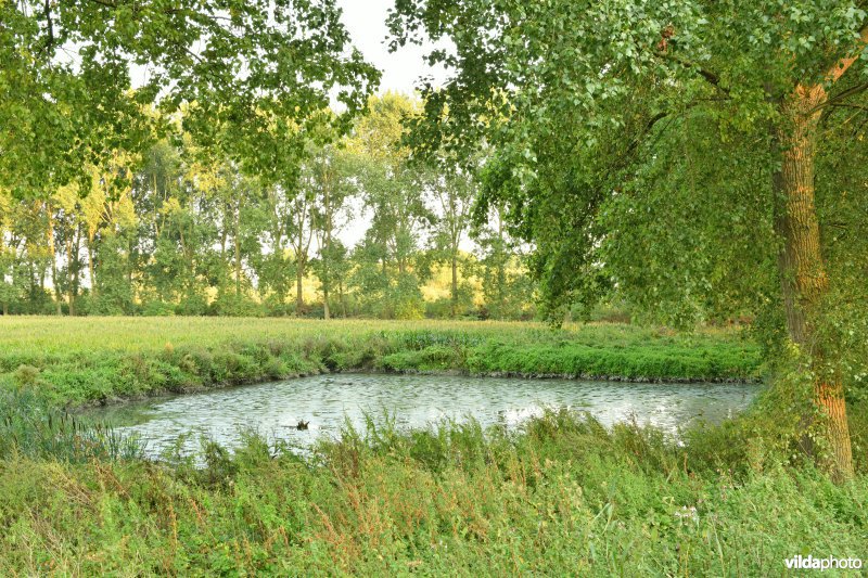 Uiterdijk in de Vlassenbroekse polder