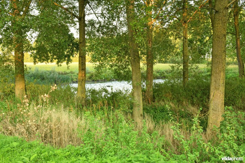 Uiterdijk in de Vlassenbroekse polder