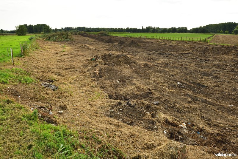 Oude Schelde in de Kalkense meersen