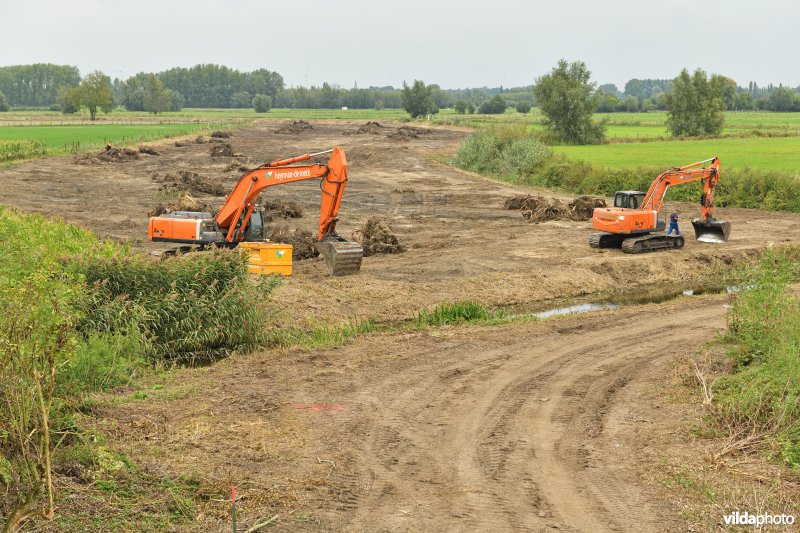 Oude Schelde in de Kalkense meersen