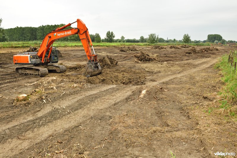 Oude Schelde in de Kalkense meersen