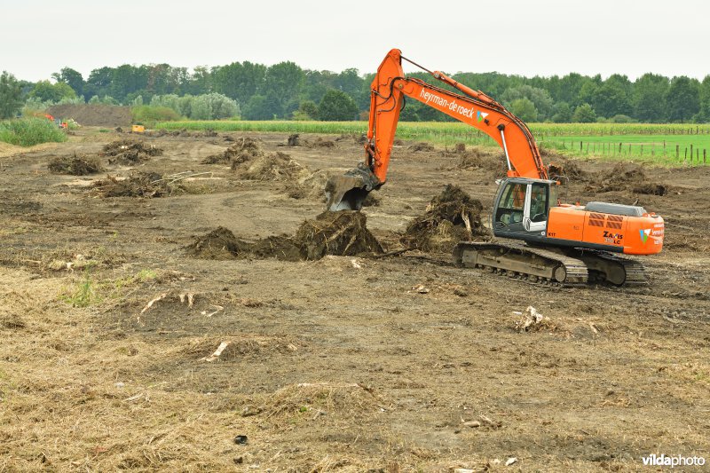 Oude Schelde in de Kalkense meersen