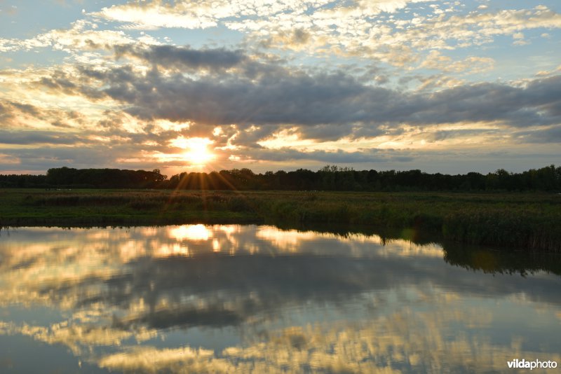 KBR polder