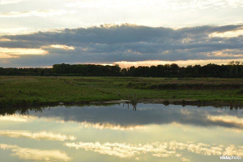 KBR polder