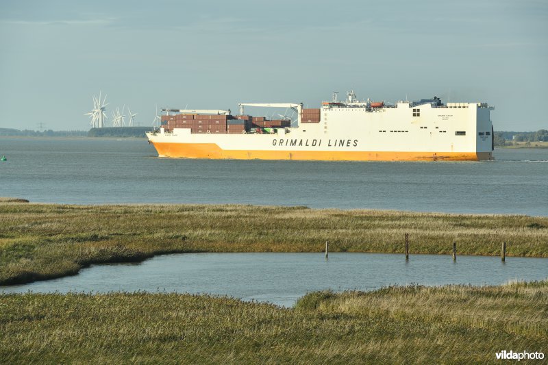 Containerschip aan het Paardenschor