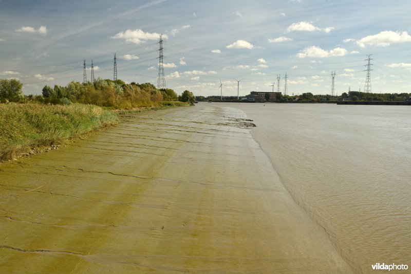 Schelde aan Rupelmonde