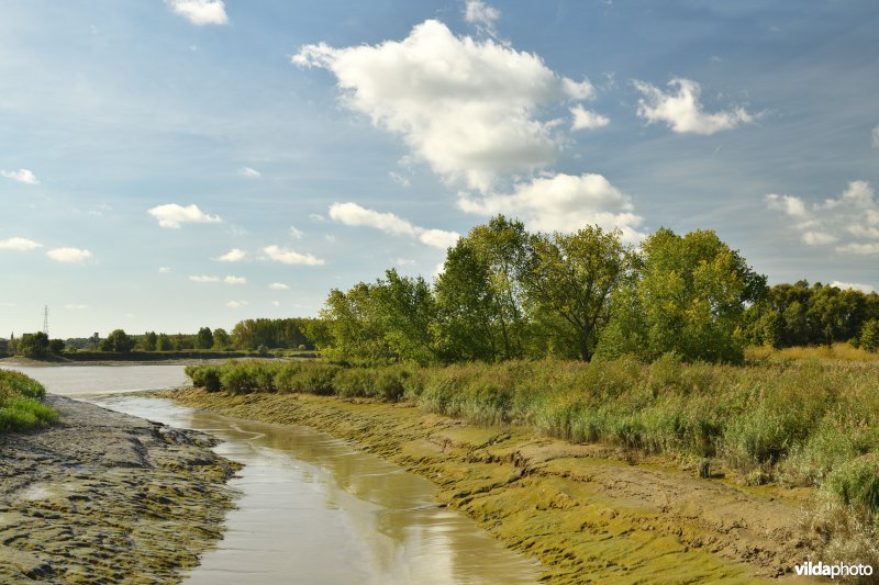Rupelmondse kreek