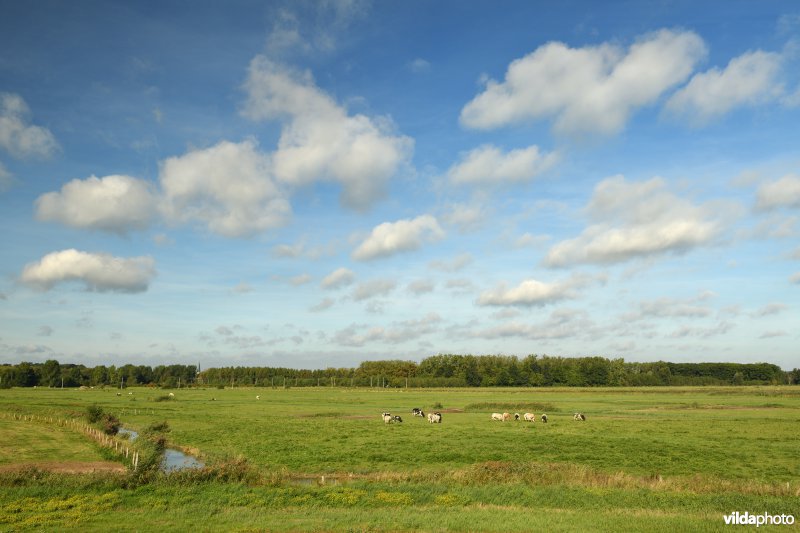 KBR polder