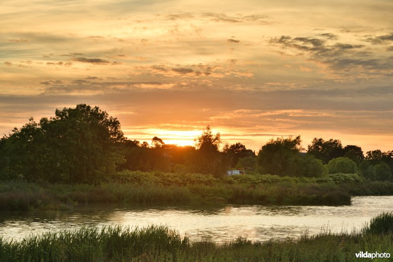 Wijmeers in de Kalkense meersen