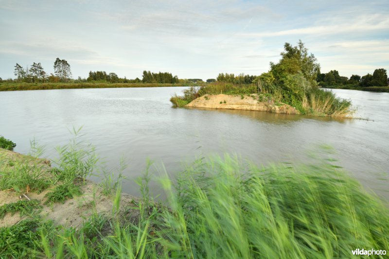 Wijmeers in de Kalkense meersen