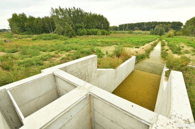 Klein Broek in Temse