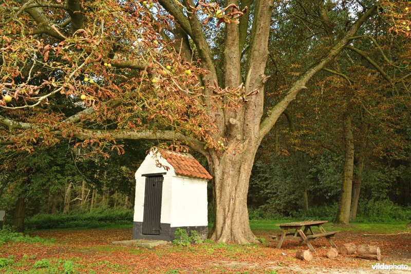 Beerkaaihuisje langs de Durme