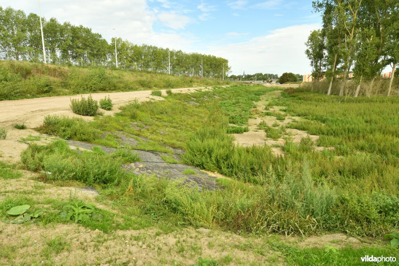 Klein Broek in Temse