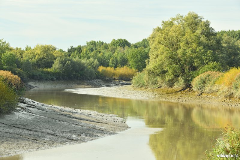 Kronkelende Durme bij laagwater