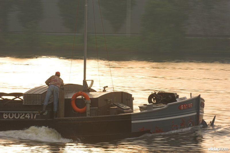 Scheepvaart op het kanaal Gent-Terneuzen