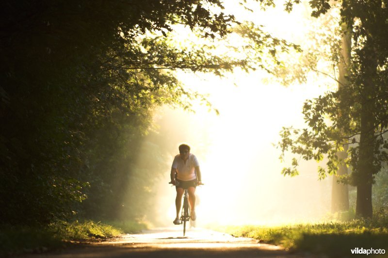 Fietsen in het natuurreservaat de Kevie