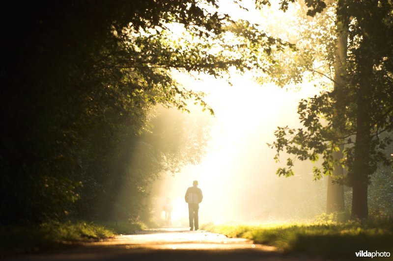Wandelen in de Kevie