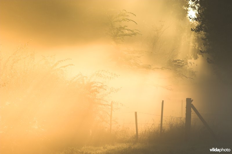 Ochtendgloed in de Kevie