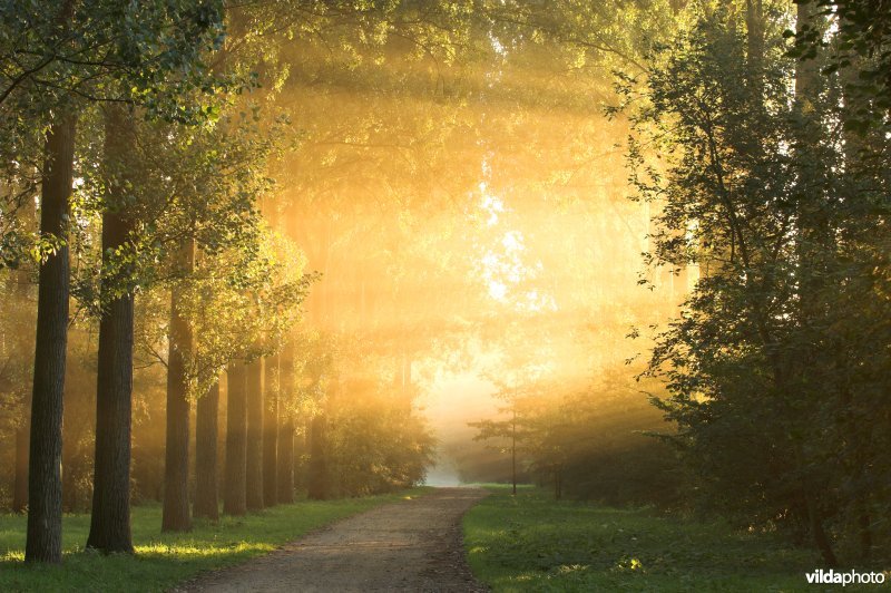 Dreef in het natuurreservaat de Kevie