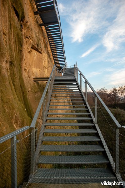 ENCI-groeve, Sint Pietersberg, Maastricht