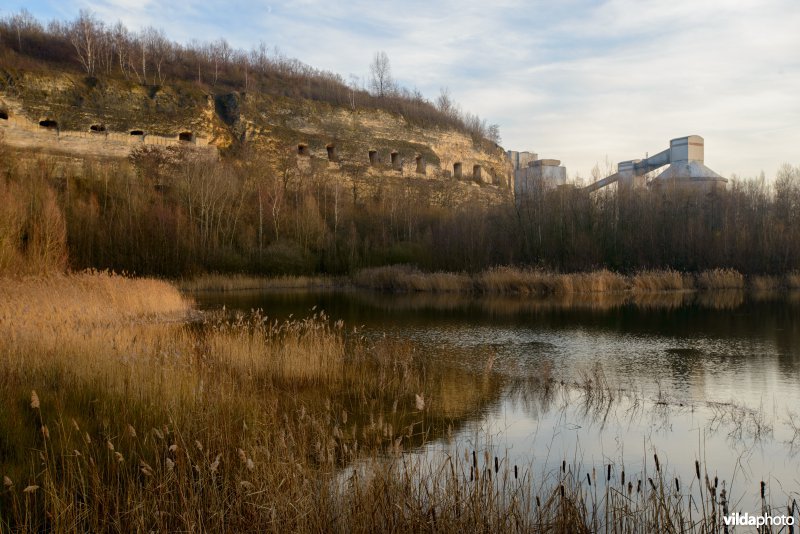 ENCI-groeve, Sint Pietersberg, Maastricht