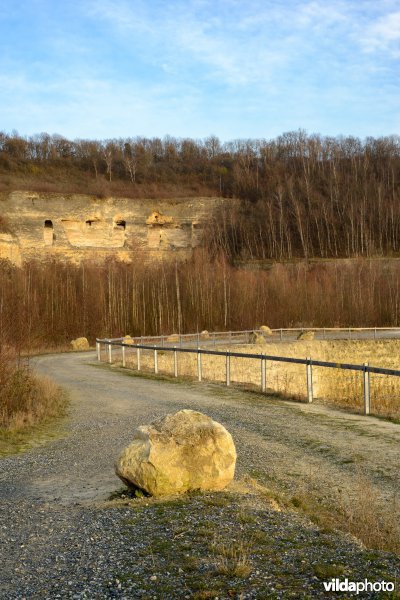 ENCI-groeve, Sint Pietersberg, Maastricht