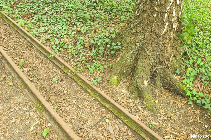 Rails op de terril Bas Bois