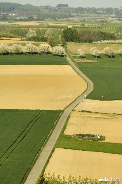 Romeinse kassei te Groot-Gelmen