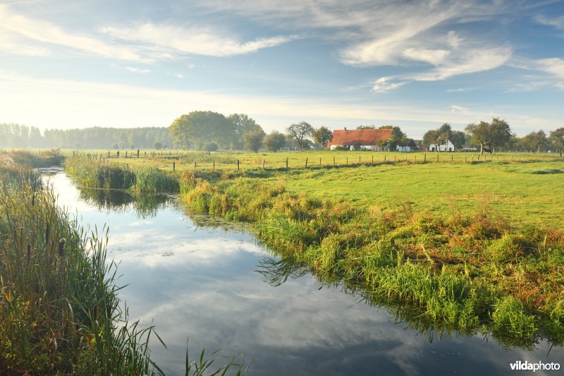 Rekkelingebeek