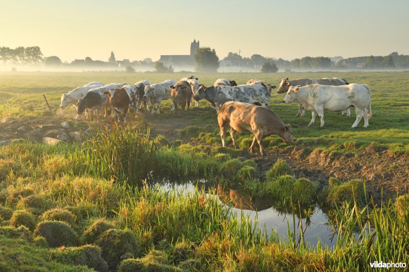 Vallei van de Handzame