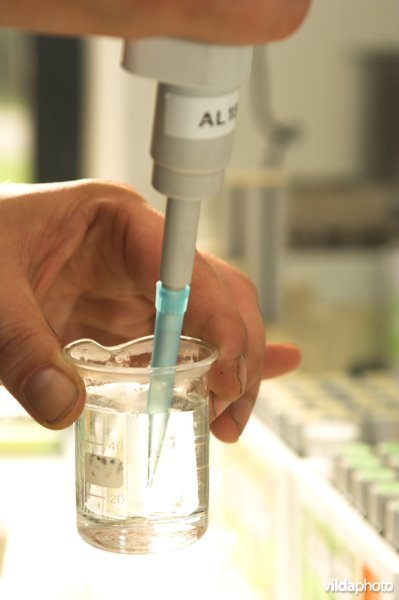 Waterkwaliteit bepalen in het laboratorium