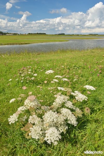 Utopia op Texel