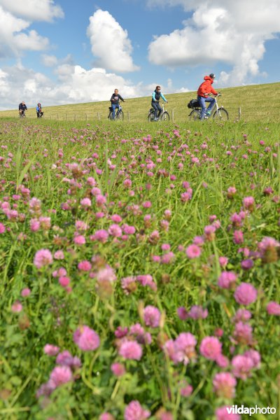 Fietsers aan Utopia op Texel