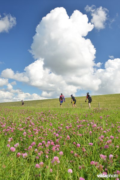 Skeelers aan Utopia op Texel