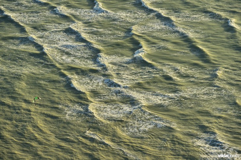Kitesurfer op ruige Noordzee-golven