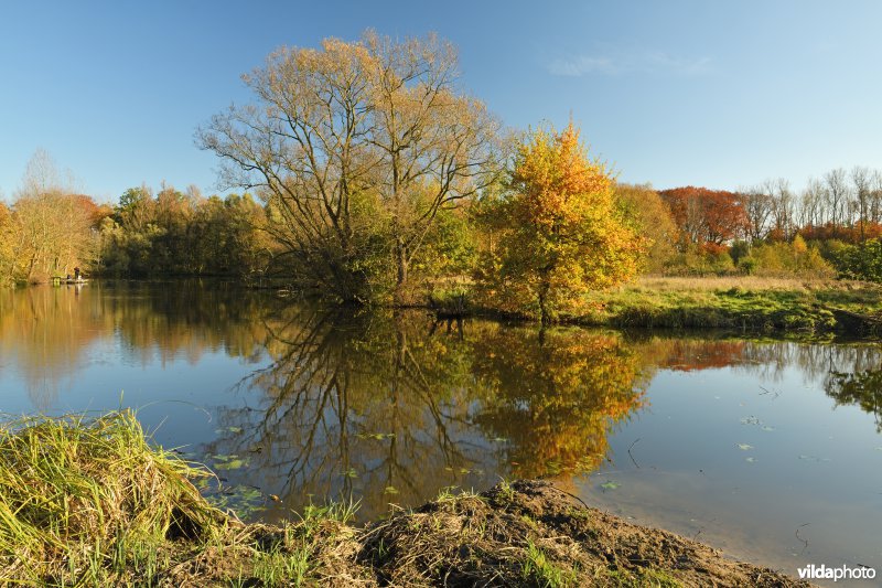 KBR polder: Bazelse kreek (R)