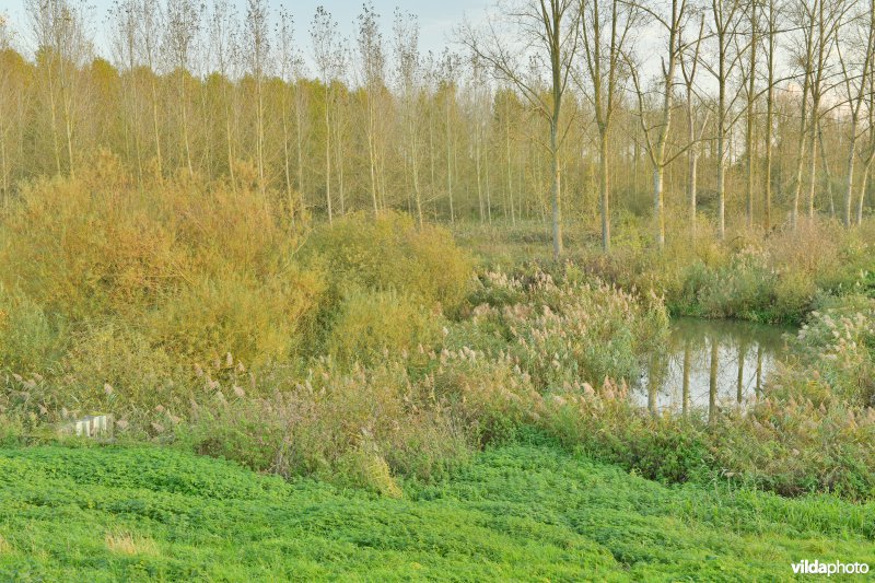 Vlassenbroekse polder (R)