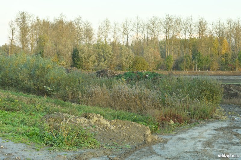 Vlassenbroekse polder (R)