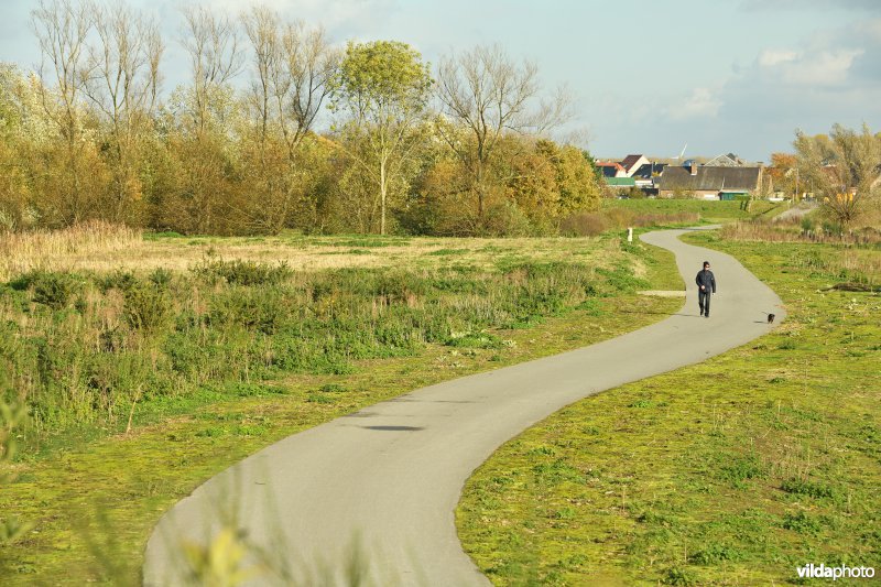 Wandelaar in de Wijmeers