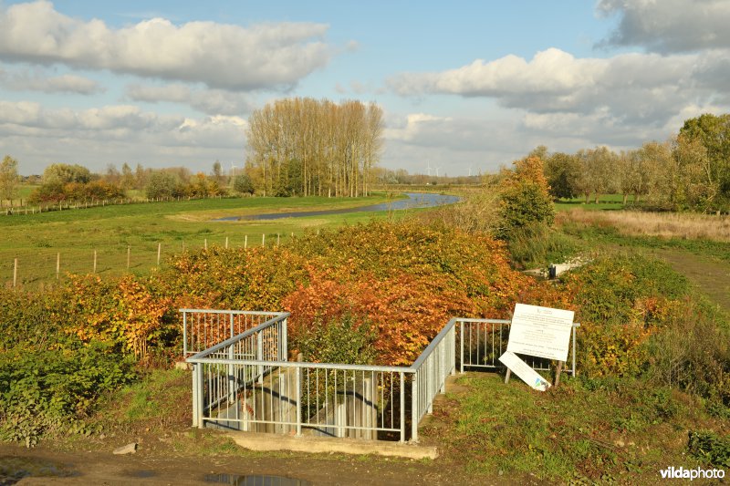 Vistrap aan Oude Schelde